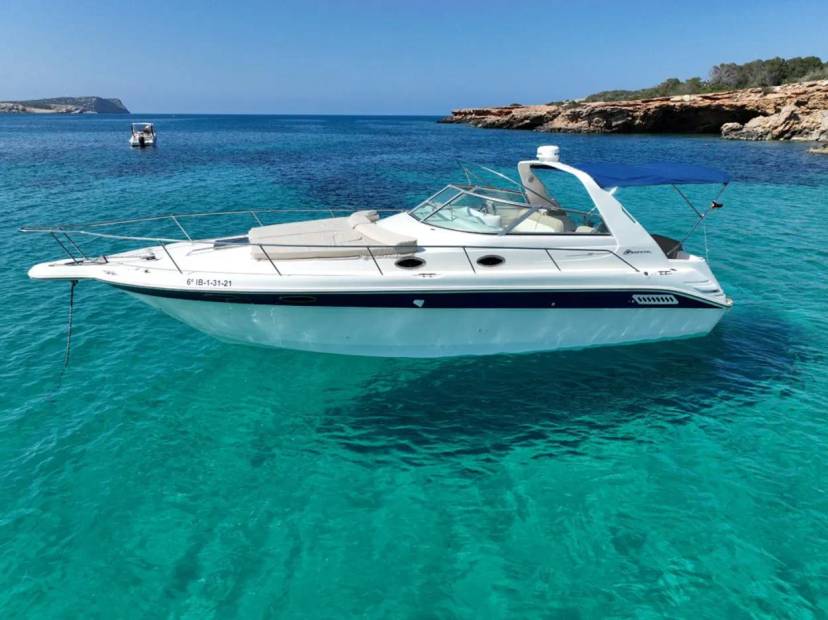 Alquiler sea ray 33