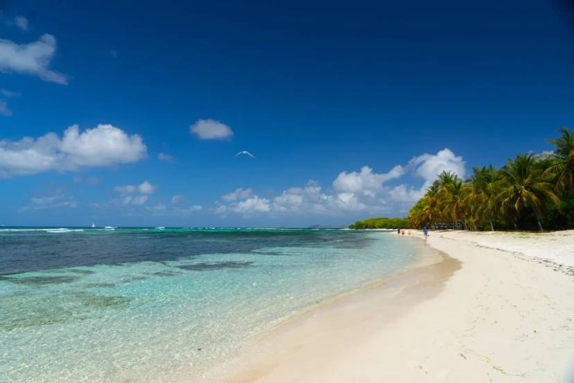 Aguas turquesas del Caribe